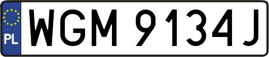 WGM9134J