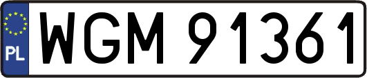WGM91361