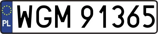 WGM91365