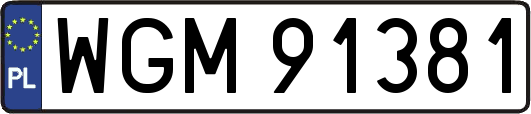 WGM91381