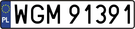 WGM91391