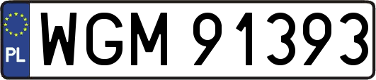 WGM91393