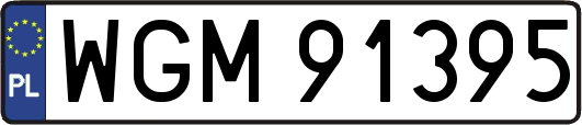 WGM91395