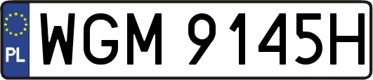 WGM9145H