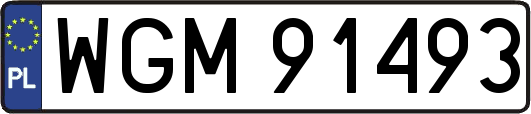 WGM91493