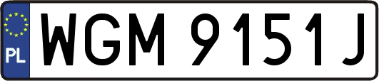 WGM9151J