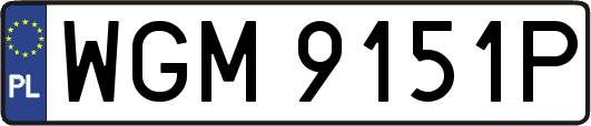 WGM9151P
