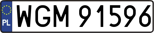 WGM91596