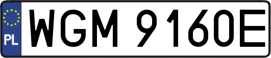WGM9160E
