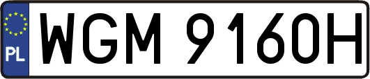 WGM9160H