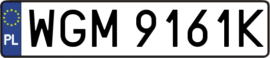 WGM9161K