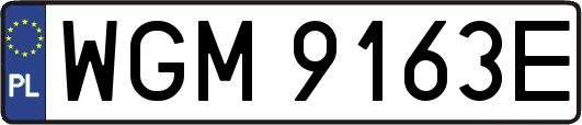 WGM9163E