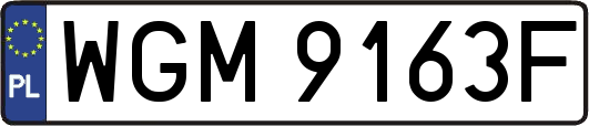 WGM9163F