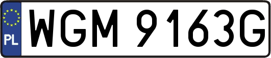 WGM9163G