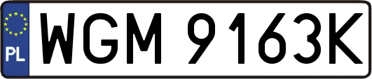 WGM9163K