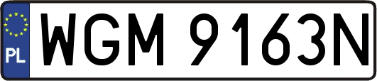 WGM9163N