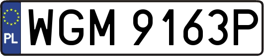 WGM9163P