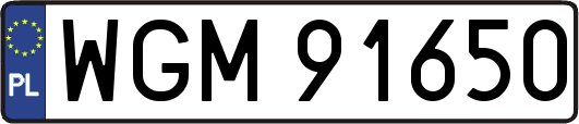 WGM91650