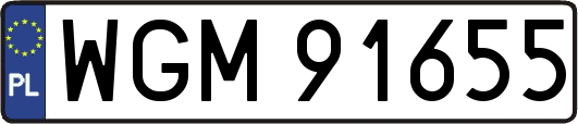 WGM91655