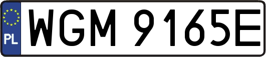 WGM9165E