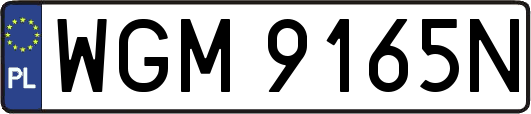 WGM9165N