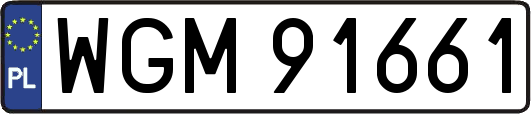 WGM91661