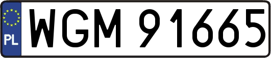 WGM91665