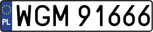 WGM91666