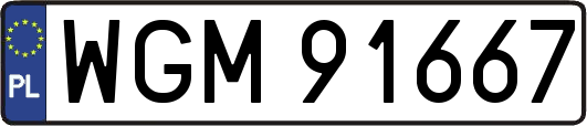 WGM91667