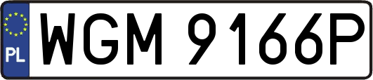 WGM9166P