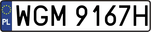 WGM9167H