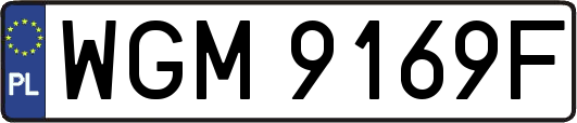 WGM9169F