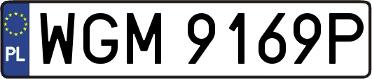 WGM9169P