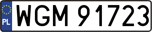 WGM91723