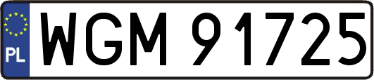 WGM91725