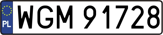 WGM91728