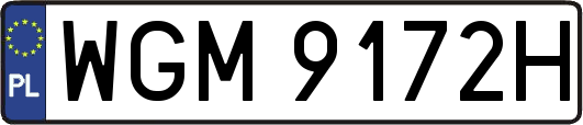 WGM9172H