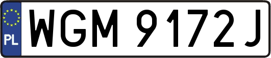 WGM9172J