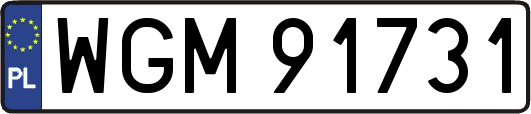 WGM91731