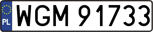 WGM91733
