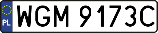 WGM9173C