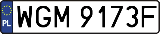 WGM9173F
