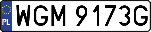 WGM9173G