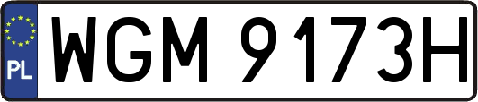 WGM9173H
