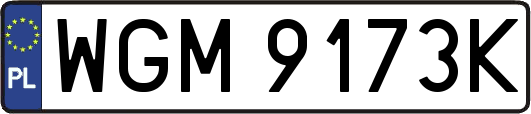 WGM9173K