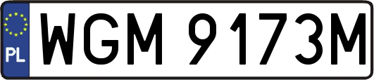 WGM9173M