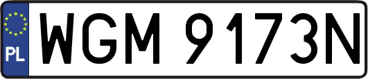 WGM9173N