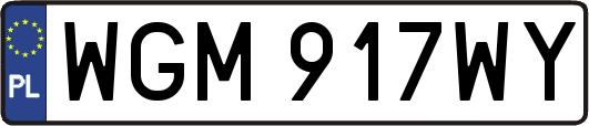 WGM917WY