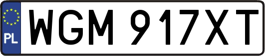 WGM917XT