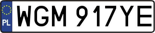 WGM917YE